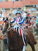 L'ultima vittoria della Contrada Sovrana dell'Istrice risale al 2 luglio 2008