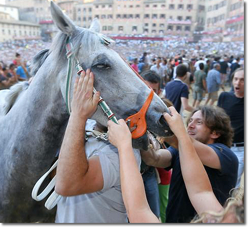 palio di siena 2 luglio 2013