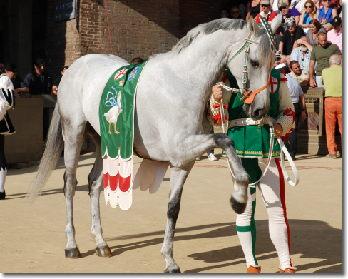 Palio del 2 luglio 2013